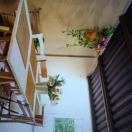 With Terrace Appartement